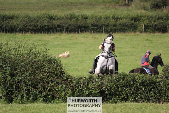 Hurworth HedgeHop 195