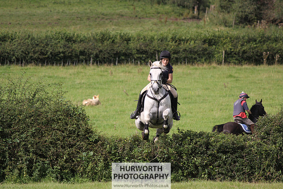 Hurworth HedgeHop 196