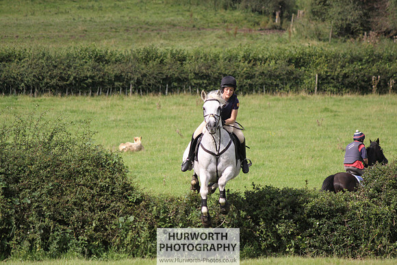 Hurworth HedgeHop 197