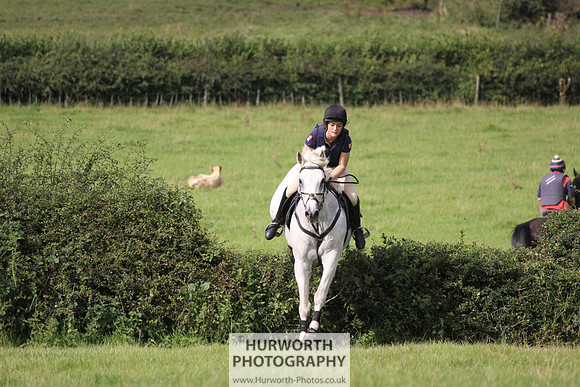 Hurworth HedgeHop 198