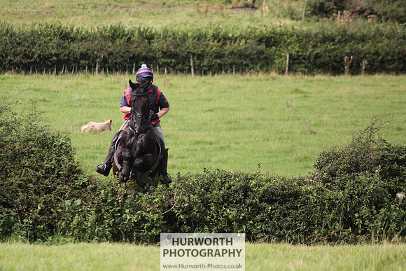 Hurworth HedgeHop 199