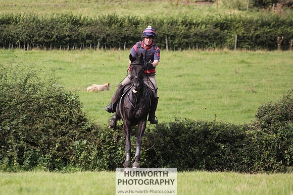 Hurworth HedgeHop 200
