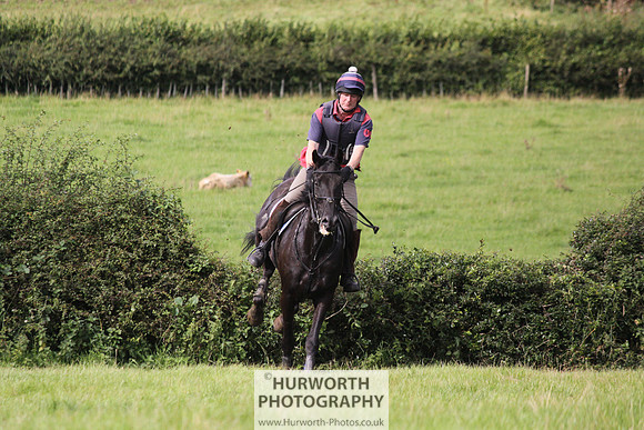 Hurworth HedgeHop 201