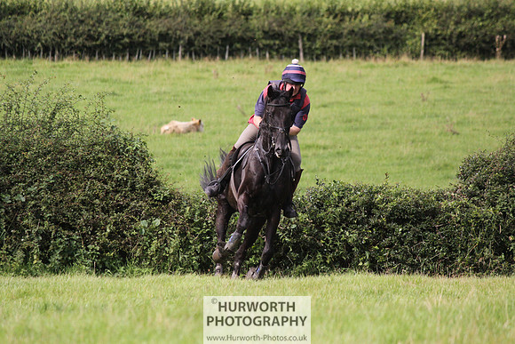 Hurworth HedgeHop 202