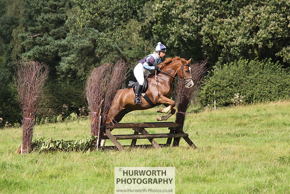 Hurworth HedgeHop 203