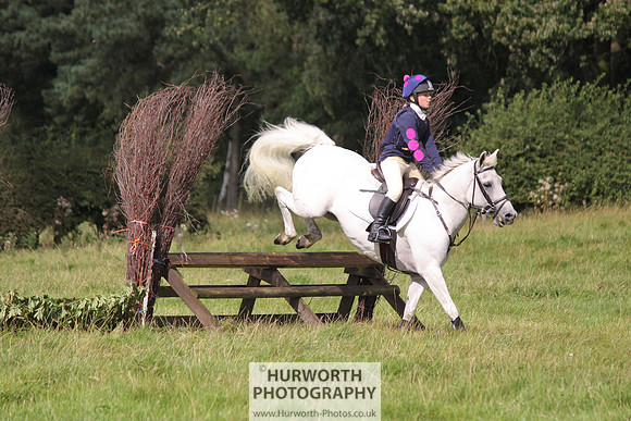 Hurworth HedgeHop 205