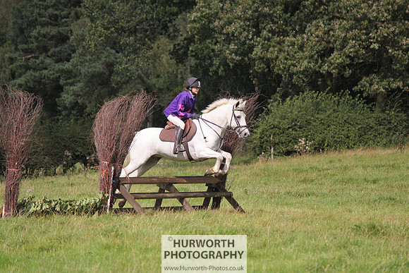 Hurworth HedgeHop 206