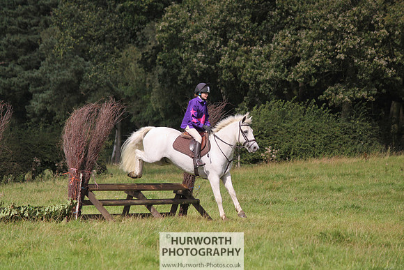 Hurworth HedgeHop 207