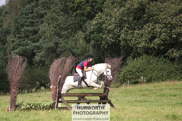 Hurworth HedgeHop 208