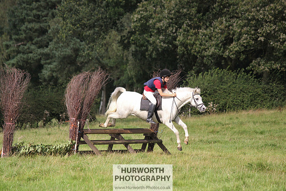 Hurworth HedgeHop 209