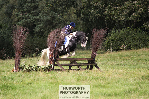 Hurworth HedgeHop 210