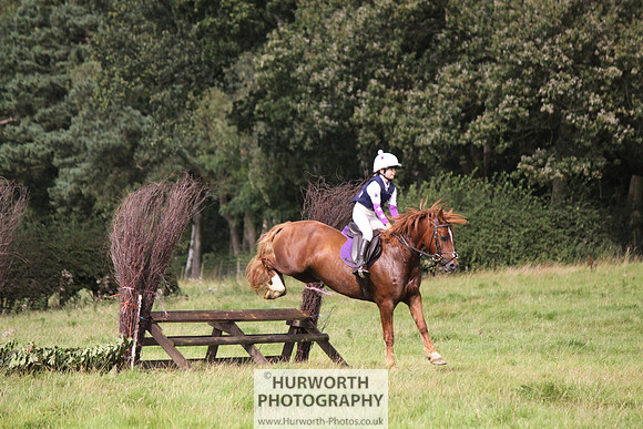 Hurworth HedgeHop 211