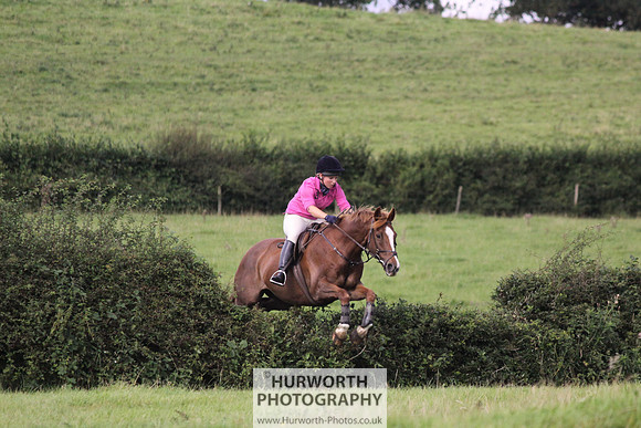 Hurworth HedgeHop 235
