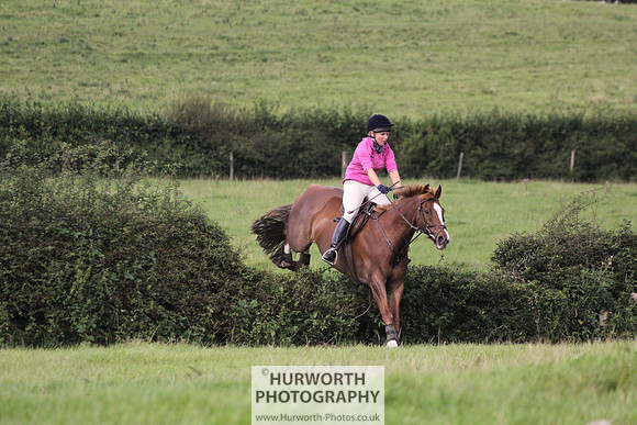 Hurworth HedgeHop 236