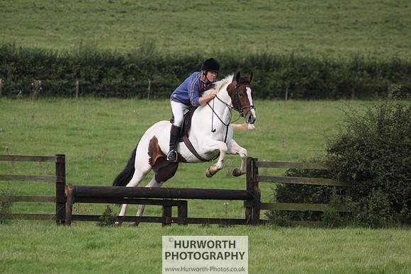 Hurworth HedgeHop 238