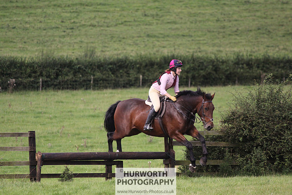 Hurworth HedgeHop 241