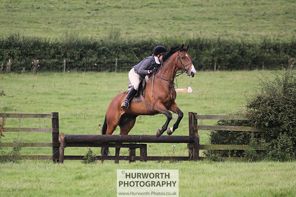 Hurworth HedgeHop 242
