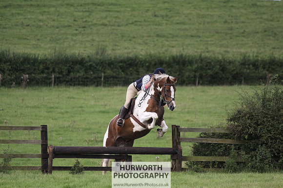 Hurworth HedgeHop 243