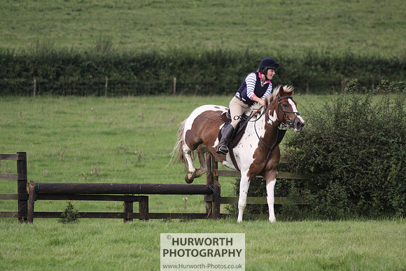 Hurworth HedgeHop 245