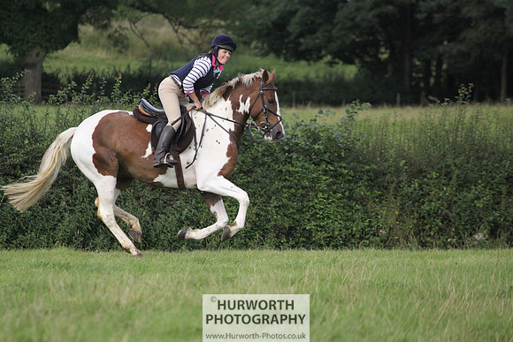 Hurworth HedgeHop 246