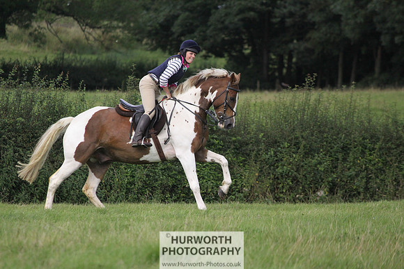 Hurworth HedgeHop 247