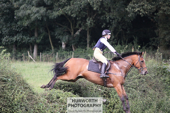 Hurworth HedgeHop 356