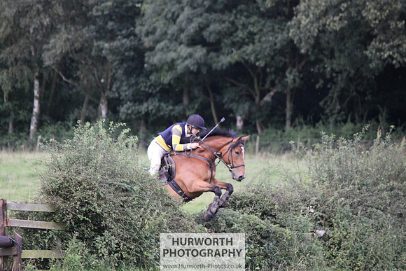 Hurworth HedgeHop 358