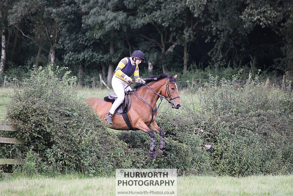 Hurworth HedgeHop 359