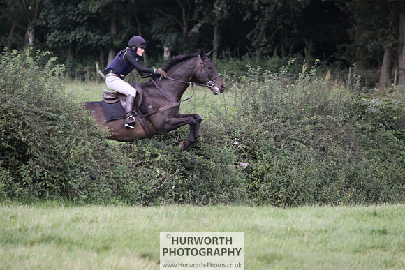 Hurworth HedgeHop 360