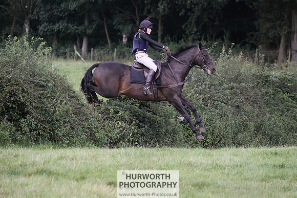 Hurworth HedgeHop 361