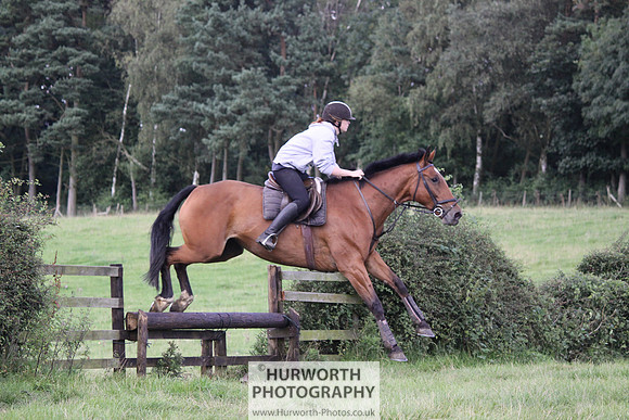 Hurworth HedgeHop 362