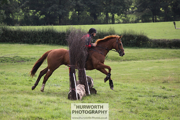 Hurworth HedgeHop 253