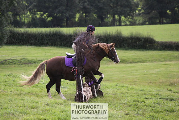 Hurworth HedgeHop 255