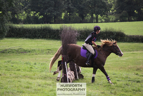 Hurworth HedgeHop 256