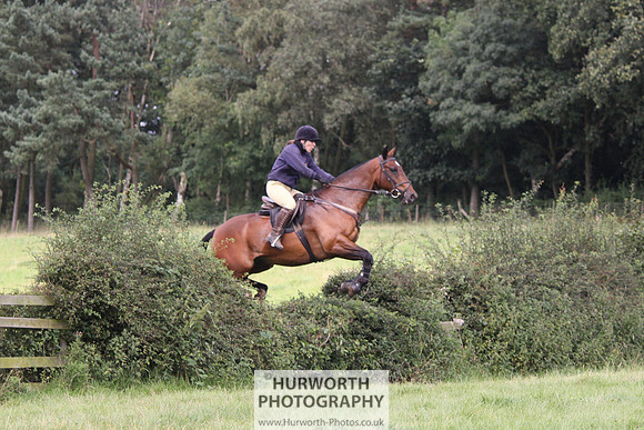 Hurworth HedgeHop 259