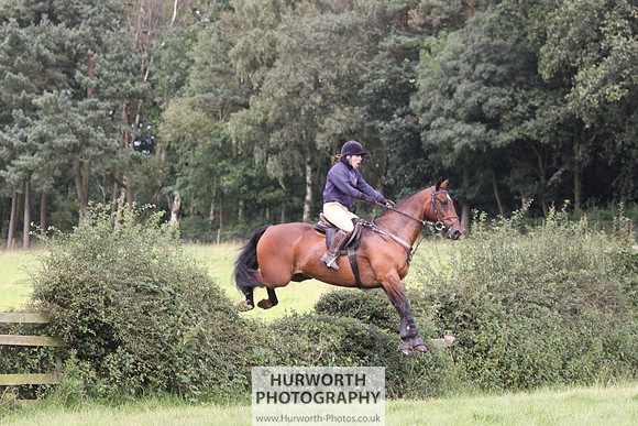 Hurworth HedgeHop 260