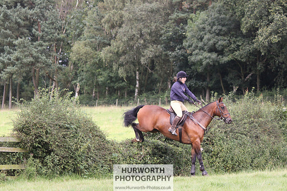 Hurworth HedgeHop 261
