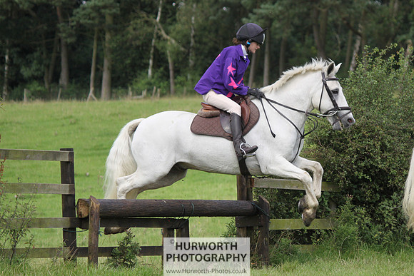 Hurworth HedgeHop 262