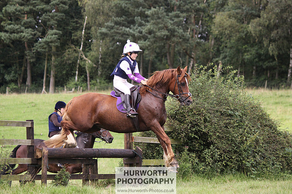 Hurworth HedgeHop 263
