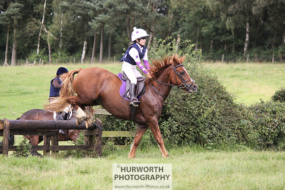 Hurworth HedgeHop 264