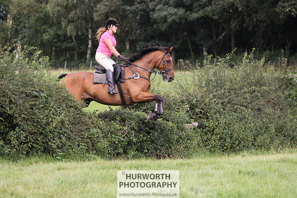 Hurworth HedgeHop 265