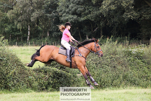 Hurworth HedgeHop 266