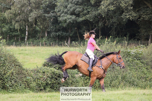 Hurworth HedgeHop 267