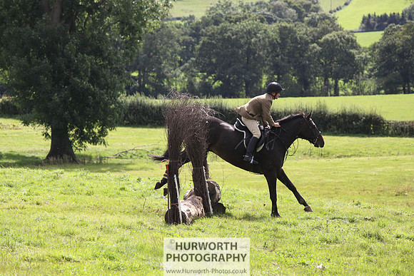 Hurworth HedgeHop 269