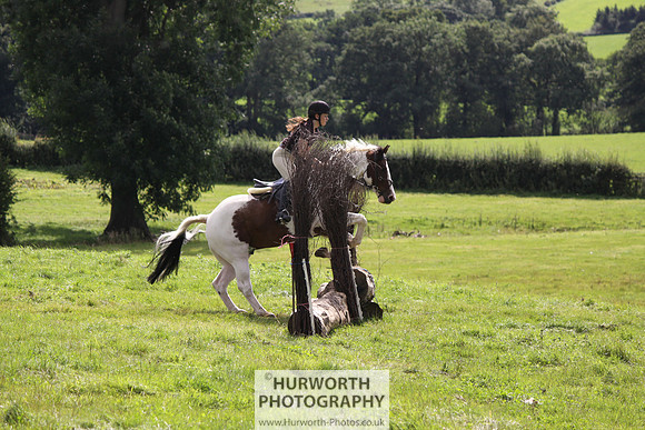 Hurworth HedgeHop 270