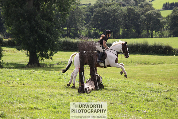 Hurworth HedgeHop 271