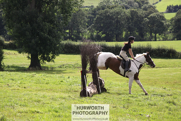 Hurworth HedgeHop 272
