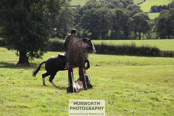 Hurworth HedgeHop 273
