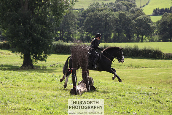 Hurworth HedgeHop 274