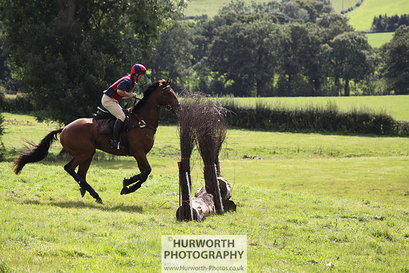 Hurworth HedgeHop 275